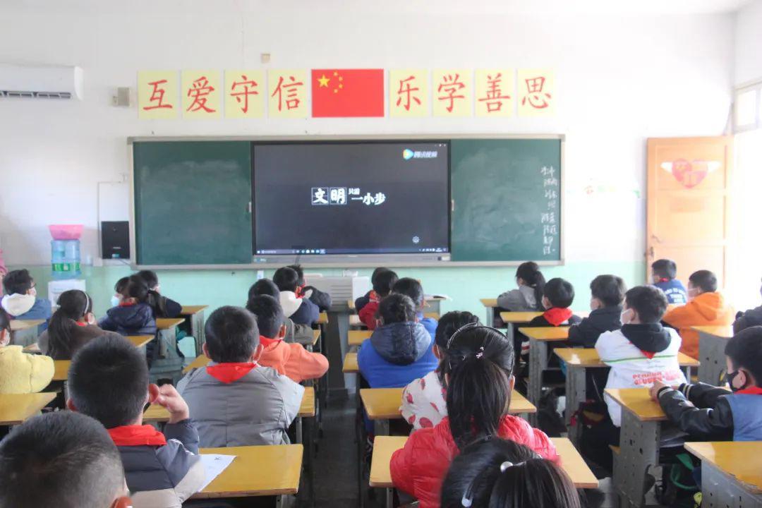 可爱猫咪救援